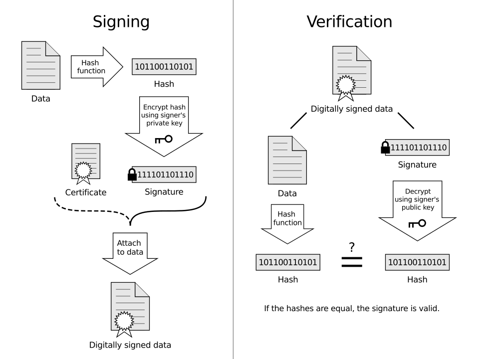 Signing: data is hashed, the hash is encrypted with the signer's private key to form a signature, and both are attached. Verification: the receiver hashes the data, decrypts the signature with the signer's public key, and compares the two hashes