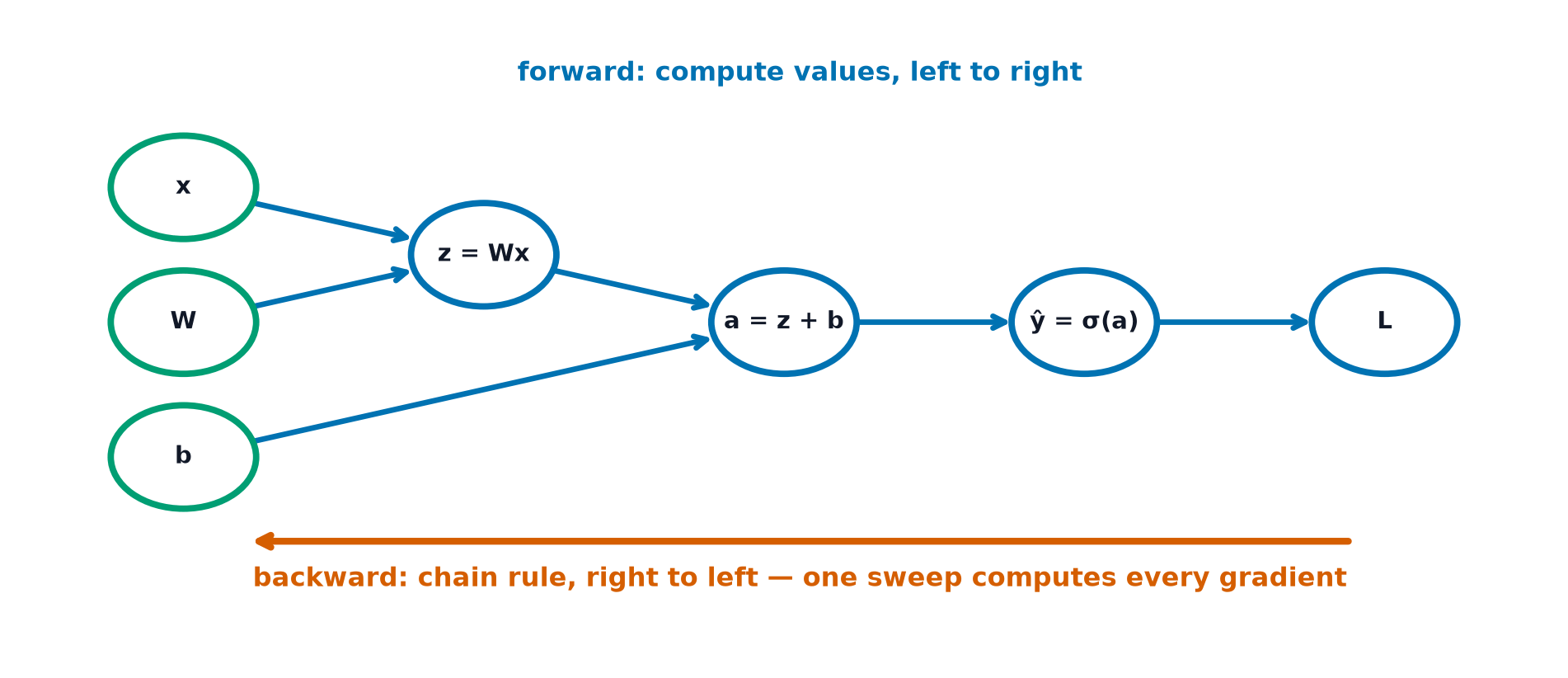 A computational graph with input, weight and bias leaves flowing through matrix multiply, add, sigmoid and loss nodes