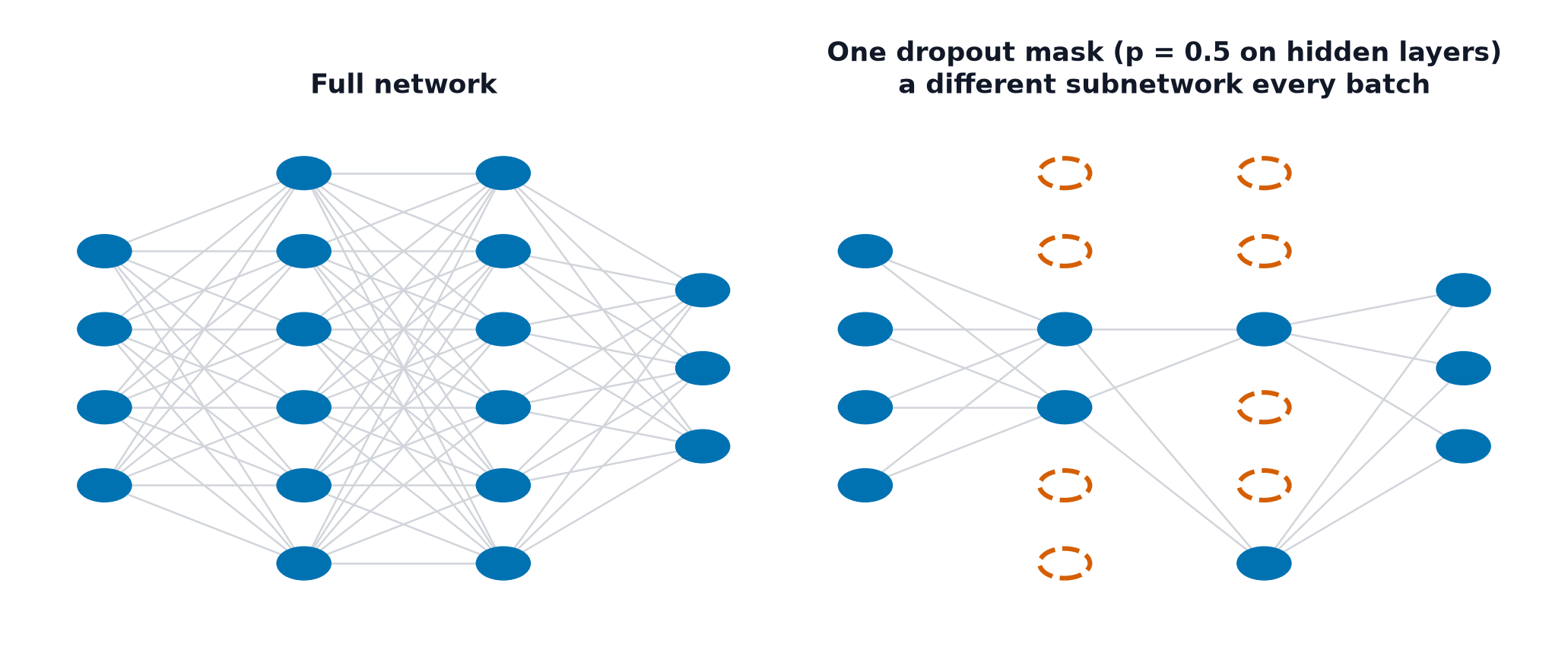 A fully connected network beside the same network with half its hidden units and their edges removed by a dropout mask