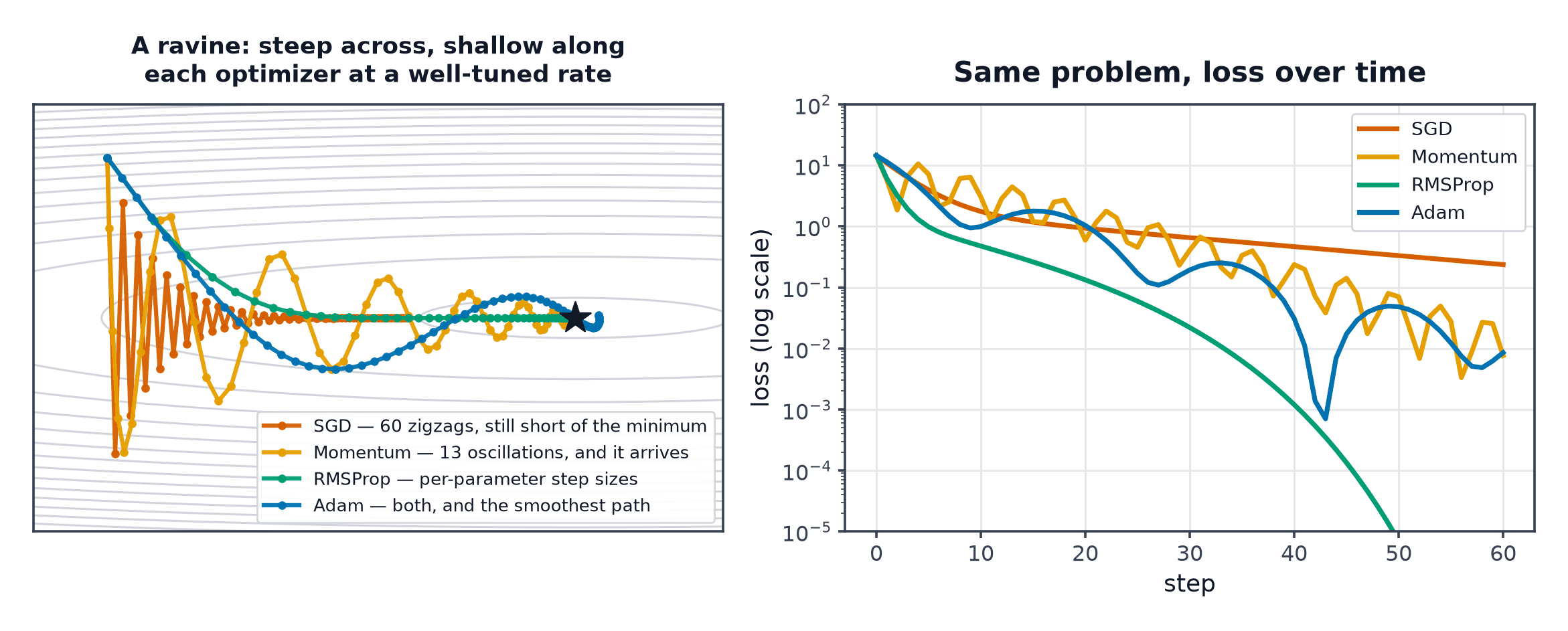Four optimizer trajectories on an elongated ravine, with SGD zigzagging and stalling while momentum, RMSProp and Adam reach the minimum