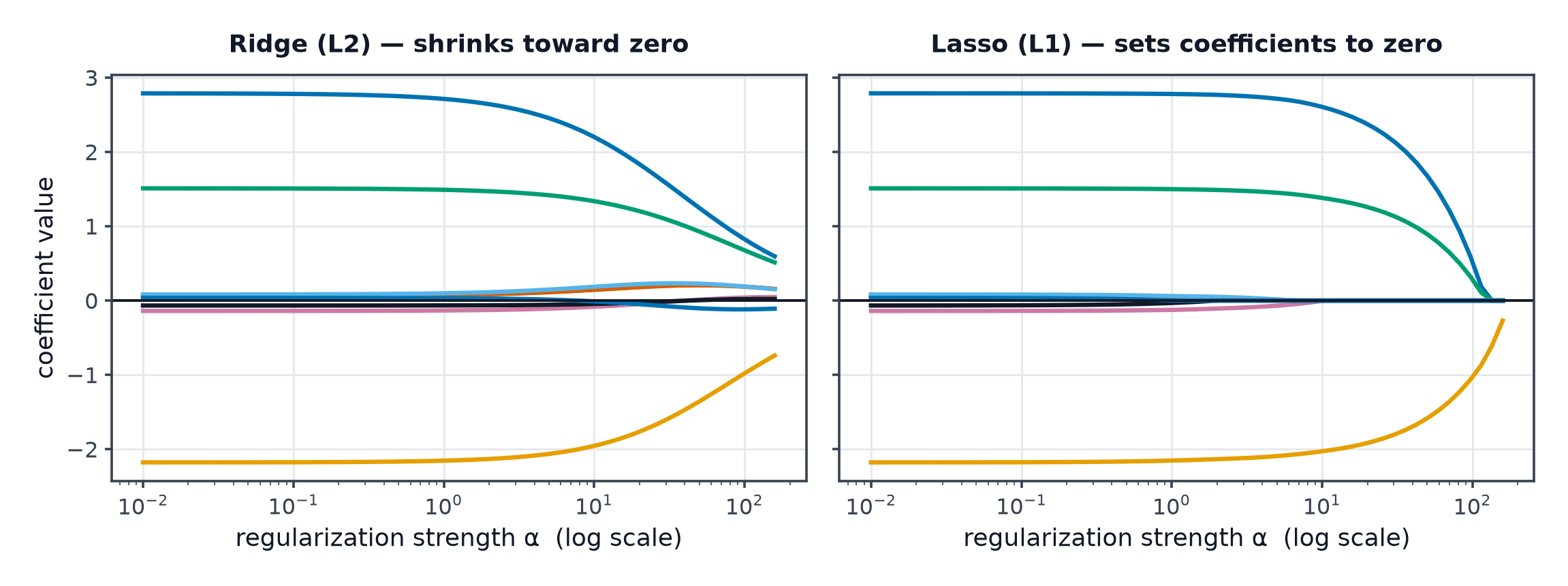 Ridge coefficient paths shrinking smoothly toward zero beside lasso paths hitting exactly zero one by one