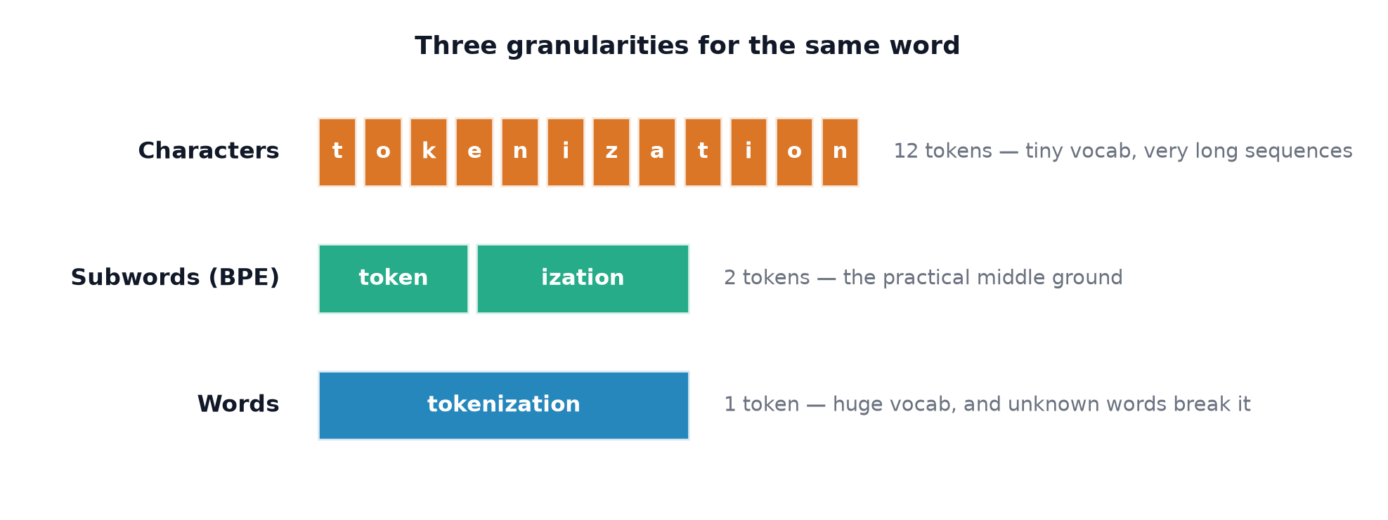 The word tokenization split into characters, into two subword pieces, and kept as a single word token