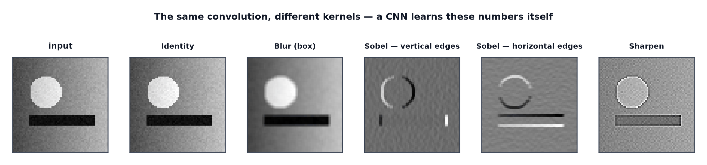The same input image processed by identity, blur, two Sobel edge detectors and a sharpening kernel