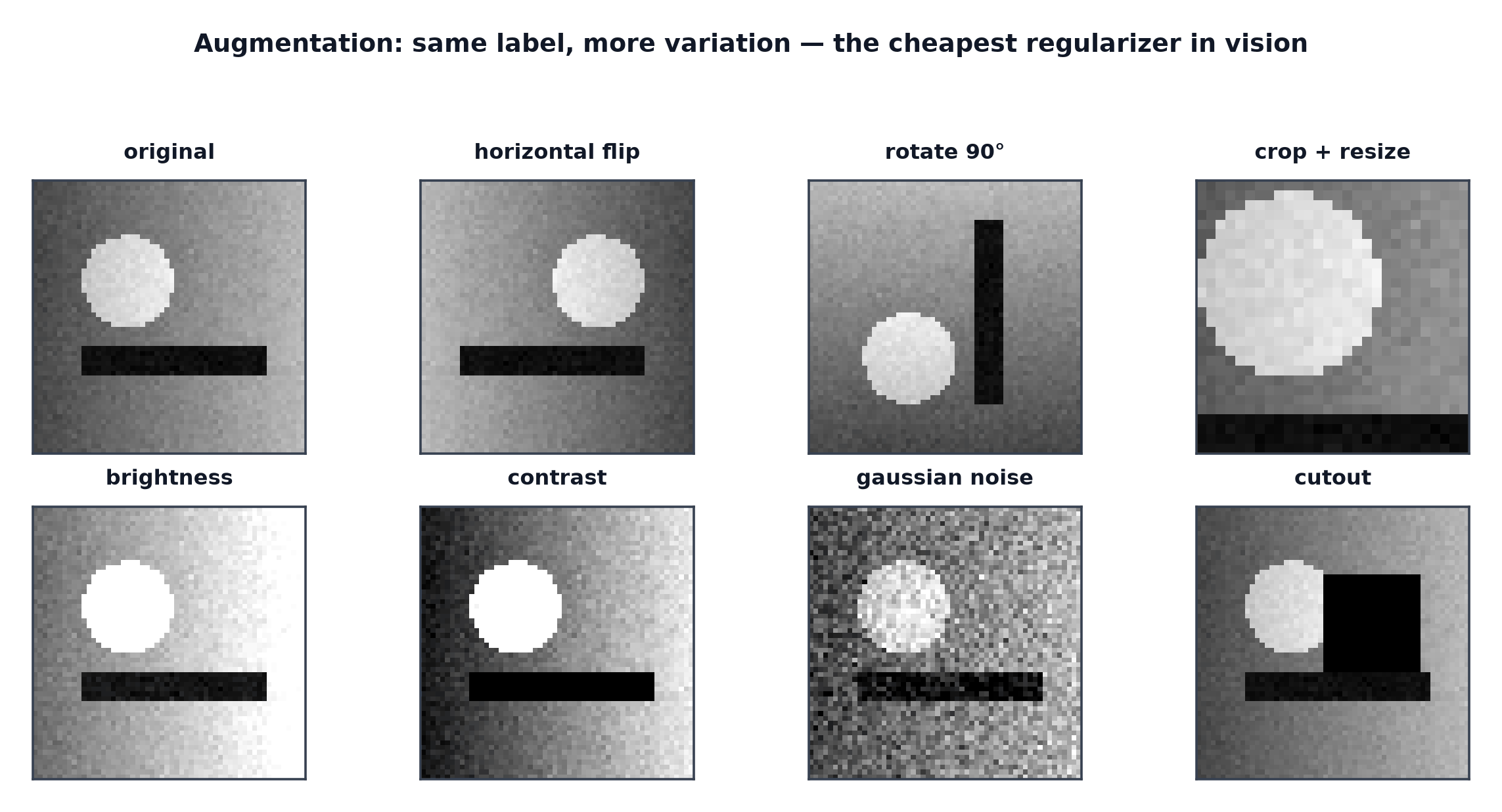 One image shown under flip, rotation, crop, brightness, contrast, noise and cutout transformations