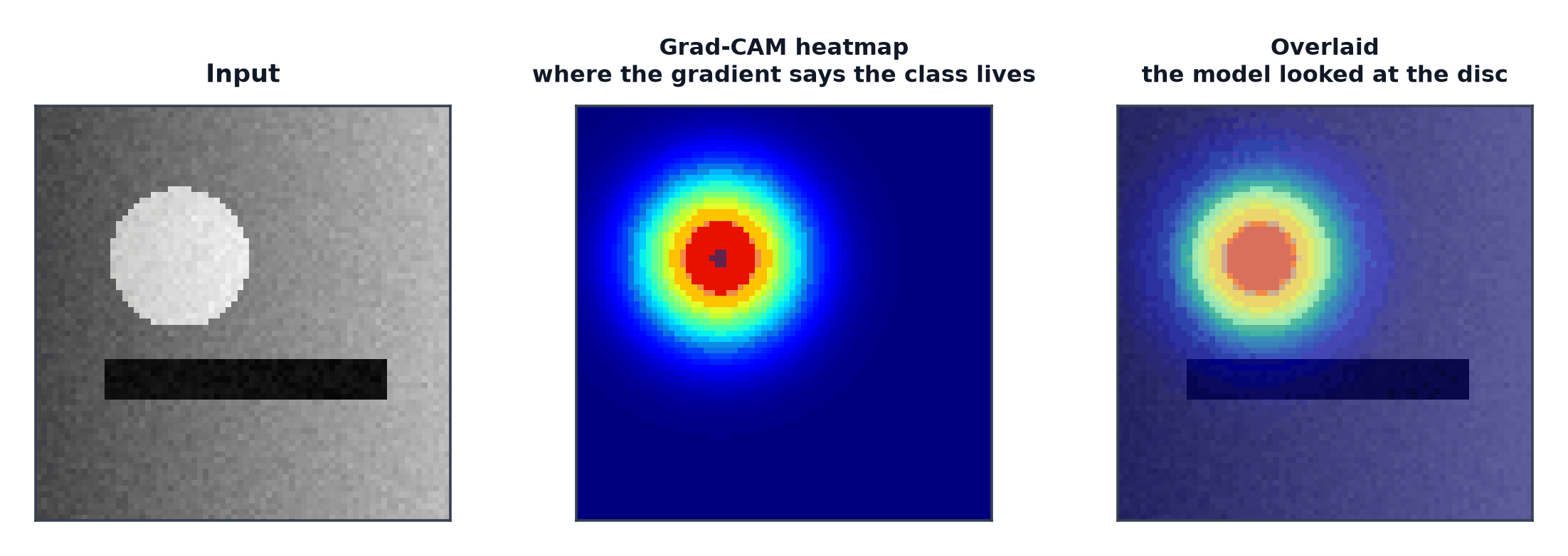 An input image, a Grad-CAM heatmap, and the two overlaid showing which region drove the prediction