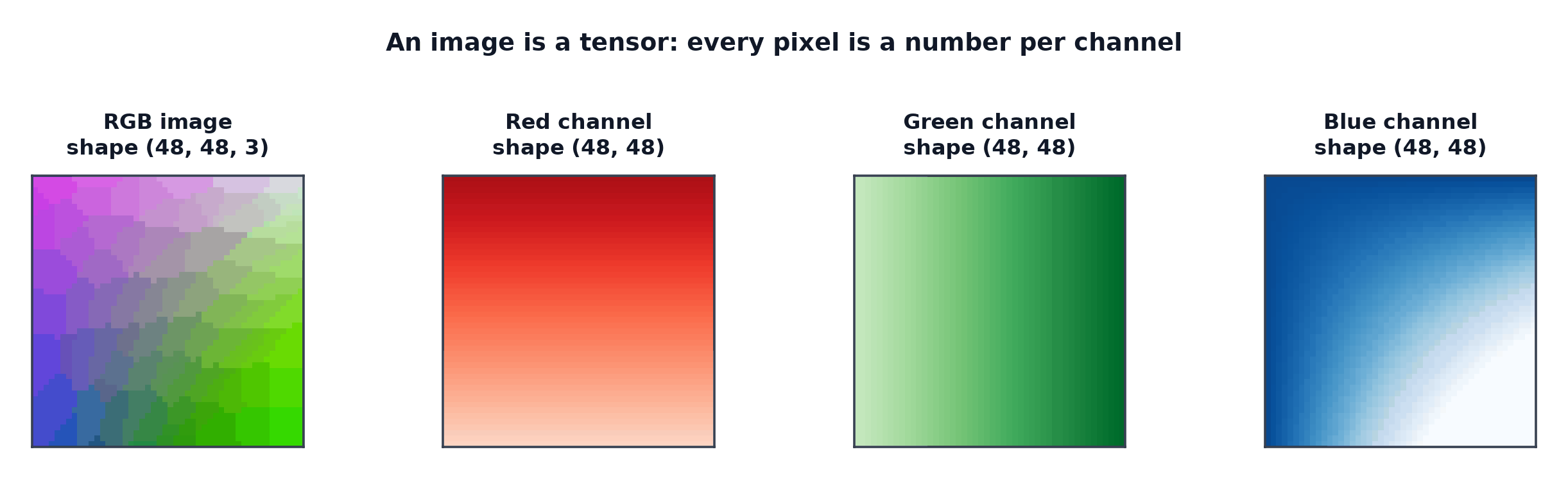 An RGB image decomposed into its separate red, green and blue channel matrices
