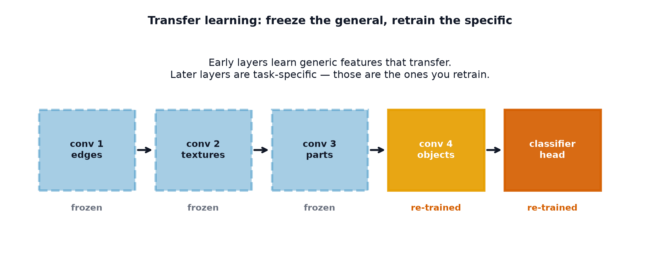 A convolutional stack with early layers frozen and the final layers and classifier head marked for retraining